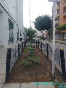 jardin-exterior-1