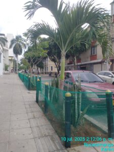 jardin-exterior-2