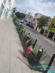 jardin-exterior-3